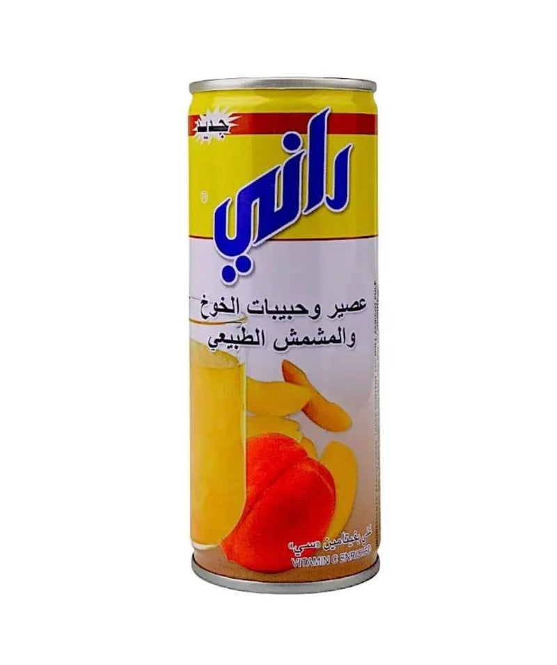 Rani Natural Peach & Apricot Float Juice - عصير وحبيبات الخوخ والمشمش الطبيعي