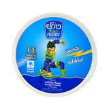 Nadec Cheese Triangles 8 ct - جبن كابتن نادك